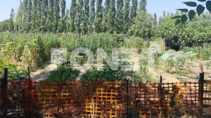 Neophodna reforma agrara